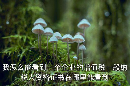 增值稅一般納稅人資格如何查詢，重慶國稅網(wǎng)如何查詢企業(yè)是否一般納稅人