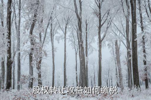 股權(quán)轉(zhuǎn)讓收益如何納稅，股權(quán)轉(zhuǎn)讓收益如何繳稅