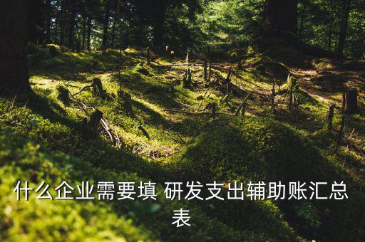研發(fā)支出 輔助賬匯總表如何填寫，什么企業(yè)需要填 研發(fā)支出輔助賬匯總表