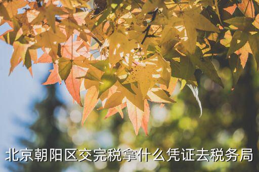 如何查稅單 北京，北京朝陽(yáng)區(qū)交完稅拿什么憑證去稅務(wù)局