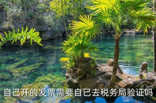 如何去稅務局驗證發(fā)票嗎，發(fā)票怎么去稅務局驗證需要什么資料