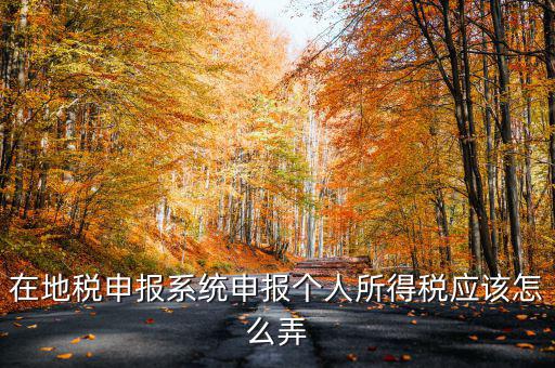 如何在北京地稅局申報個稅，在地稅申報系統(tǒng)申報個人所得稅應(yīng)該怎么弄