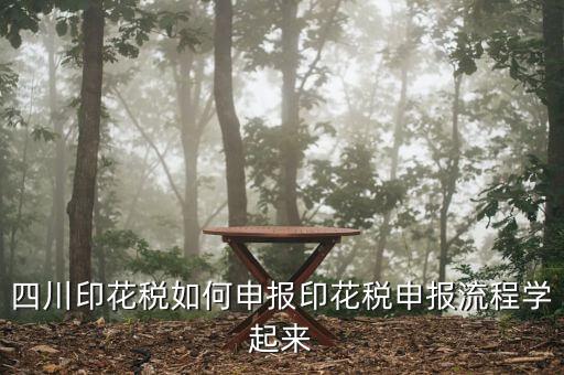 四川企業(yè)地稅如何網(wǎng)上申報，四川地稅企業(yè)所得稅怎么申報