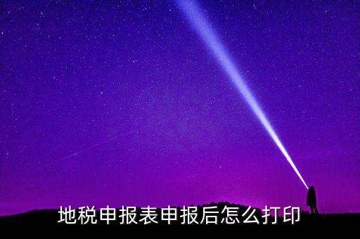 地稅如何打印申報表，地稅納稅申報表怎么打印