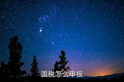 北京國稅如何登陸申報，國稅如何網(wǎng)上零申報 具體步驟有五個