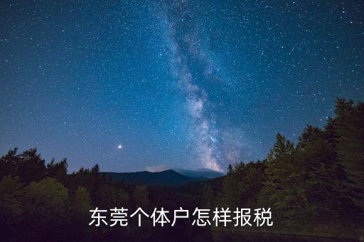 東莞個體戶怎樣報(bào)稅