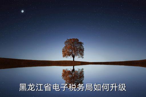 如何升級國稅系統(tǒng)，河南省電子稅務局版本過低怎么升級