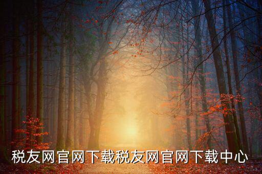 稅友如何下載，個稅在稅友網(wǎng)上下載下來了然后怎么安裝