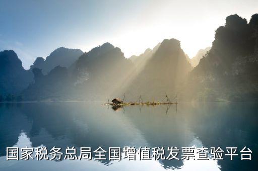 全國(guó)增值稅普通發(fā)票如何查詢系統(tǒng)，發(fā)票查驗(yàn)在哪里查