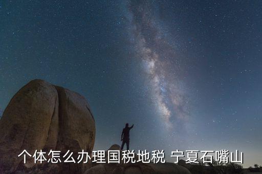 寧夏個稅如何申報(bào)，個體怎么辦理國稅地稅 寧夏石嘴山
