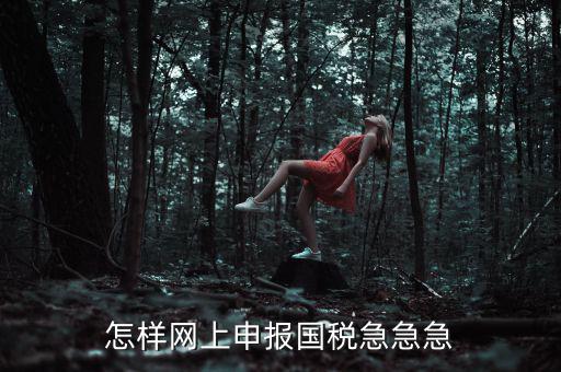國(guó)稅網(wǎng)上稅務(wù)如何申報(bào)，怎樣網(wǎng)上申報(bào)國(guó)稅急急急