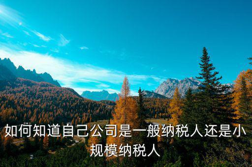 如何查詢一般納稅人還是小規(guī)模企業(yè)，如何看是一般納稅人還是小規(guī)模納稅人