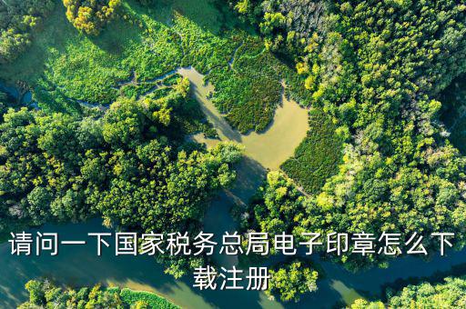 請(qǐng)問一下國(guó)家稅務(wù)總局電子印章怎么下載注冊(cè)