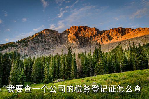 如何查詢稅務(wù)登記表，稅務(wù)登記證查詢