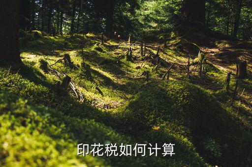 廈門印花稅如何計(jì)算器，印花稅如何計(jì)算