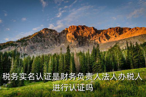 四川稅務(wù)如何實(shí)名認(rèn)證，四川省國(guó)稅網(wǎng)上認(rèn)證系統(tǒng)由那家公司提供服務(wù)