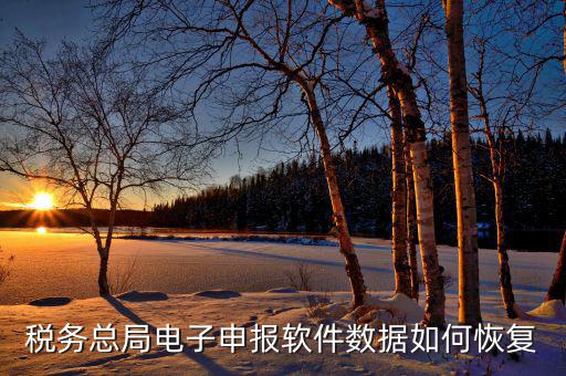 稅友報稅軟件如何恢復(fù)備份，報稅軟件卸載后數(shù)據(jù)丟失了怎么恢復(fù)數(shù)據(jù)急