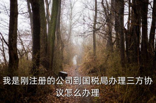 如何激活稅務(wù)三方協(xié)議，稅務(wù)三方協(xié)議怎樣激活