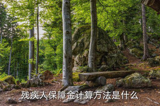 廣西殘疾人保障金如何計算，殘疾人保障金怎么計算