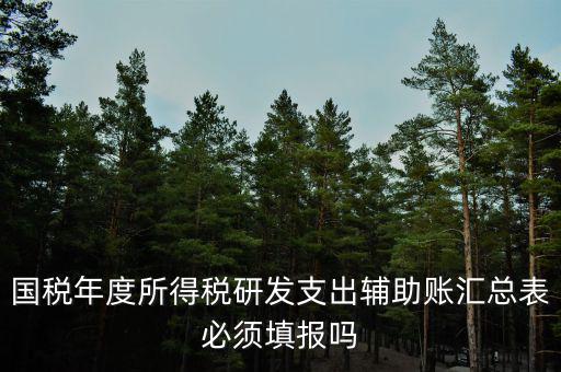 研發(fā)支出輔助賬匯總表該如何填寫，什么企業(yè)需要填 研發(fā)支出輔助賬匯總表