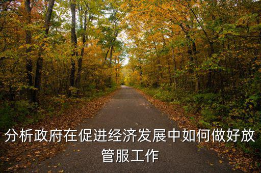 如何做好國稅系統(tǒng)的放管服工作，分析政府在促進經濟發(fā)展中如何做好放管服工作
