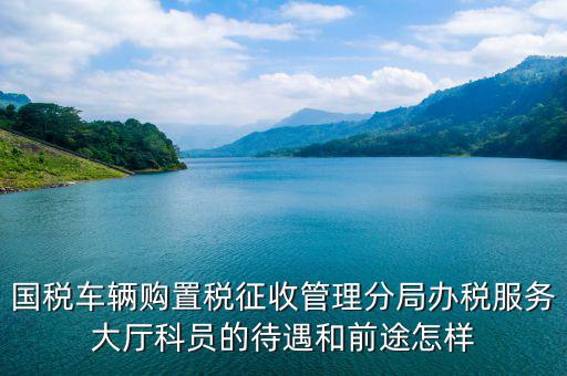 辦稅員工資如何，國稅車輛購置稅征收管理分局辦稅服務大廳科員的待遇和前途怎樣