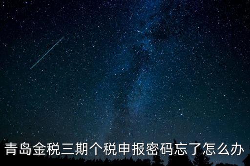 如何重置金三個稅系統(tǒng)申報密碼，青島金稅三期個稅申報密碼忘了怎么辦