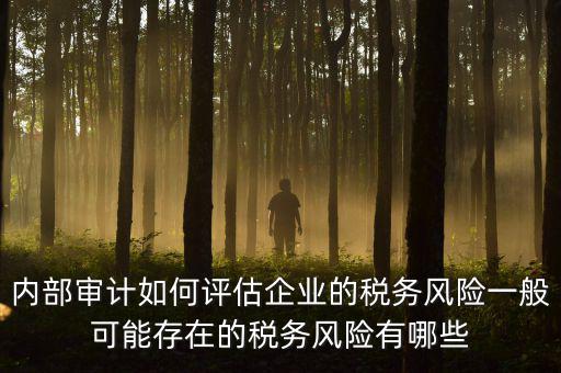 內(nèi)部審計(jì)如何評估企業(yè)的稅務(wù)風(fēng)險(xiǎn)一般可能存在的稅務(wù)風(fēng)險(xiǎn)有哪些