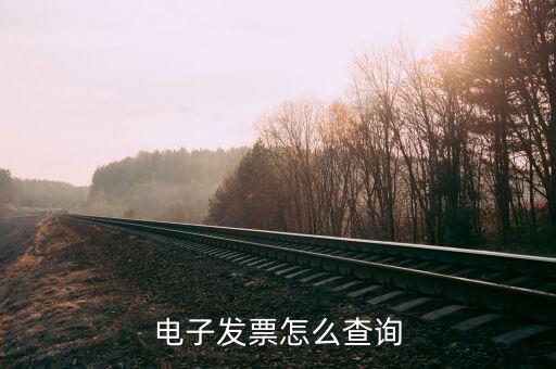 如何在電子稅務(wù)局查詢發(fā)票，開票信息在哪里查詢
