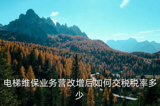 維保電梯如何納稅，麻煩問(wèn)一下電梯維護(hù)與保養(yǎng)納什么稅稅率是多少 如果我公司銷售
