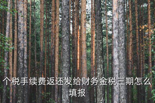 金稅三期獲如何連接稅務(wù)局，金稅三期個人所得稅扣繳系統(tǒng)怎樣連接地稅