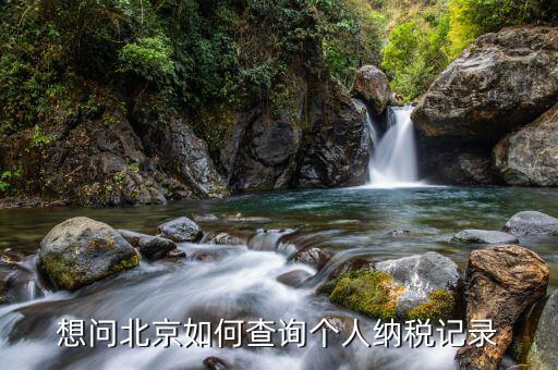 如何查詢北京納稅申報(bào)，納稅申報(bào)表在哪里查詢