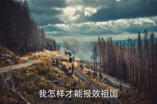 開的稅如何報效，報效祖國最好的辦法是什么