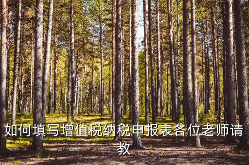 增值稅納稅申報表如何填報，增值稅申報表如何填寫
