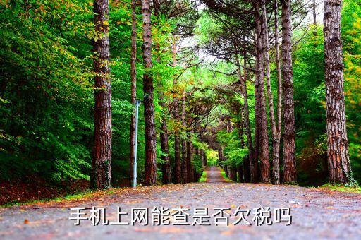 如何查是否有欠稅，稅務(wù)欠稅信息如何查詢