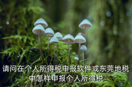 請問在個人所得稅申報(bào)軟件或東莞地稅中怎樣申報(bào)個人所得稅