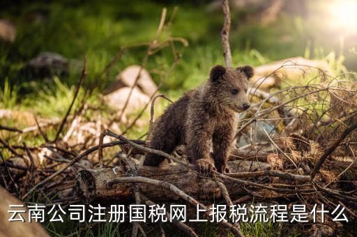 如何進(jìn)入云南網(wǎng)上稅務(wù)申報系統(tǒng)，如何進(jìn)行網(wǎng)上稅務(wù)申報