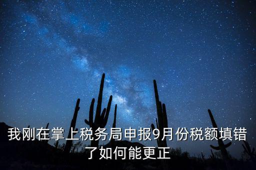 稅務(wù)如何更正申報(bào)，我剛在掌上稅務(wù)局申報(bào)9月份稅額填錯(cuò)了如何能更正
