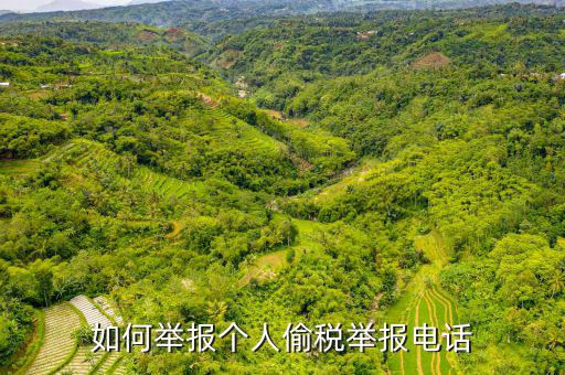 如何去稽查局 舉報(bào)電話，如何舉報(bào)個(gè)人偷稅舉報(bào)電話