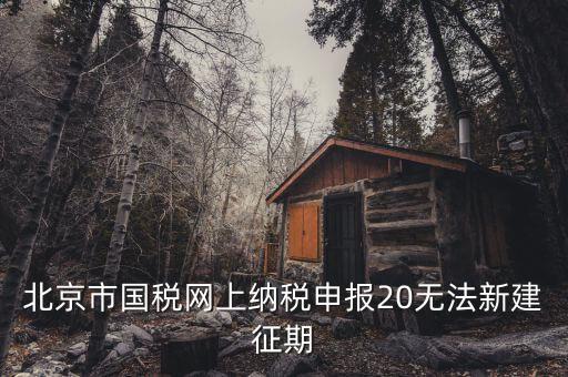 國稅系統(tǒng)如何建立征期，北京國稅網(wǎng)上申報(bào)系統(tǒng)是不是只能在每個(gè)月初才可以新建征期呢我