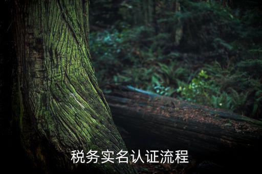 四川省稅務(wù)局如何實(shí)名采集信息，四川網(wǎng)上稅務(wù)局12366掌廳怎么實(shí)名采集掃哪個(gè)二維碼