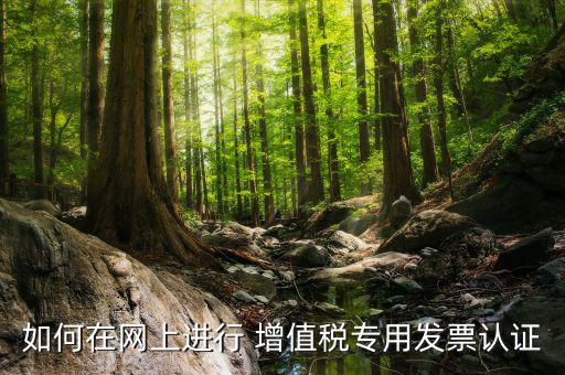 增值稅專用票如何在網(wǎng)上申請，購買增值稅專用發(fā)票要先在網(wǎng)上怎么操作