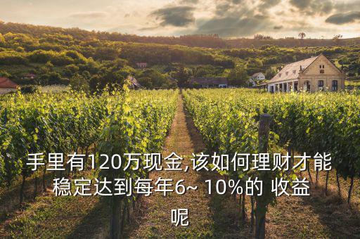 手里有120萬現(xiàn)金,該如何理財才能 穩(wěn)定達(dá)到每年6~ 10%的 收益呢