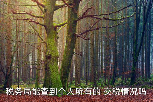 個人工資交稅怎么查詢,個人所得稅不能查詢工資明細