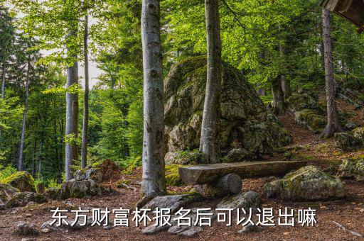 點(diǎn)融網(wǎng)東方團(tuán)怎么退出,東方財富杯金融精英挑戰(zhàn)賽注意事項(xiàng)