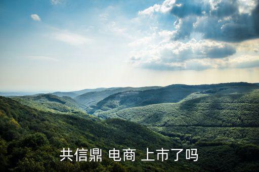 電商怎么上市,南極電商在納斯達克上市騰訊、慧聰網(wǎng)香港上市