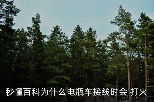 電動(dòng)車(chē)充電時(shí)打火怎么回事,電動(dòng)踏板車(chē)怎么充電?!