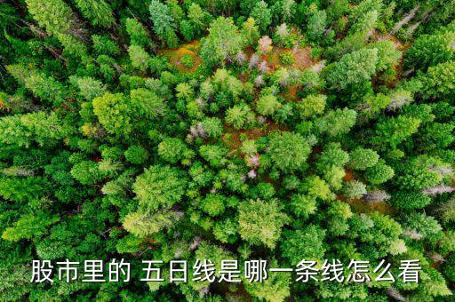 同花順怎么看五日線(xiàn),同花順:五日線(xiàn)即是五個(gè)交易日平均價(jià)