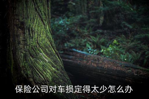 定損額少怎么辦,請國家物價(jià)部門鑒定汽車損失按照固定金額賠付