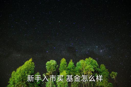 好買(mǎi)基金怎么樣,菜鳥(niǎo)在市場(chǎng)買(mǎi)基金新手買(mǎi)老基金比較好